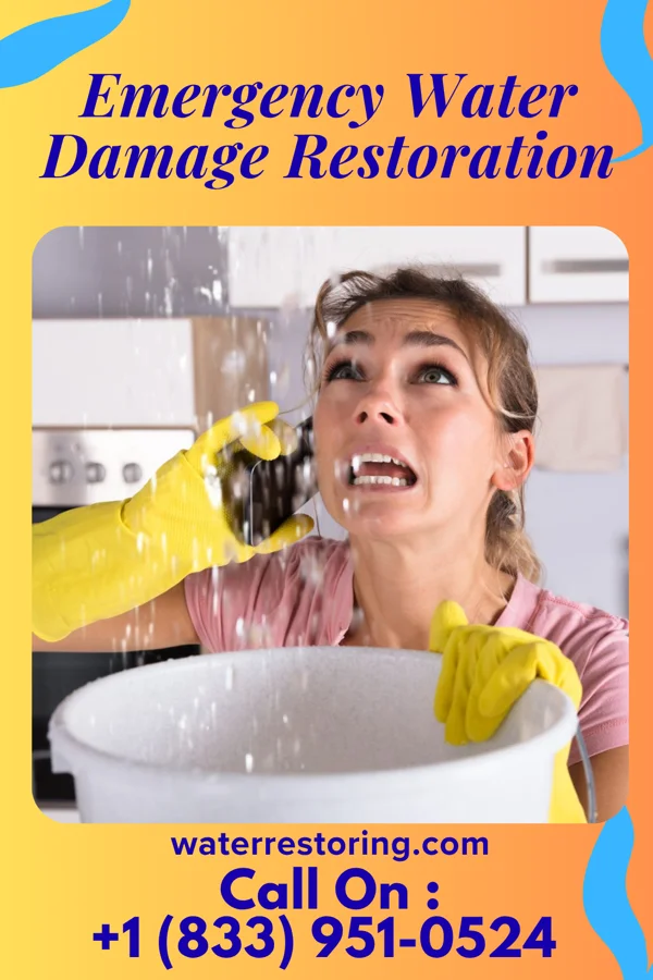 Emergency Water Damage Restoration in Greenup, KY