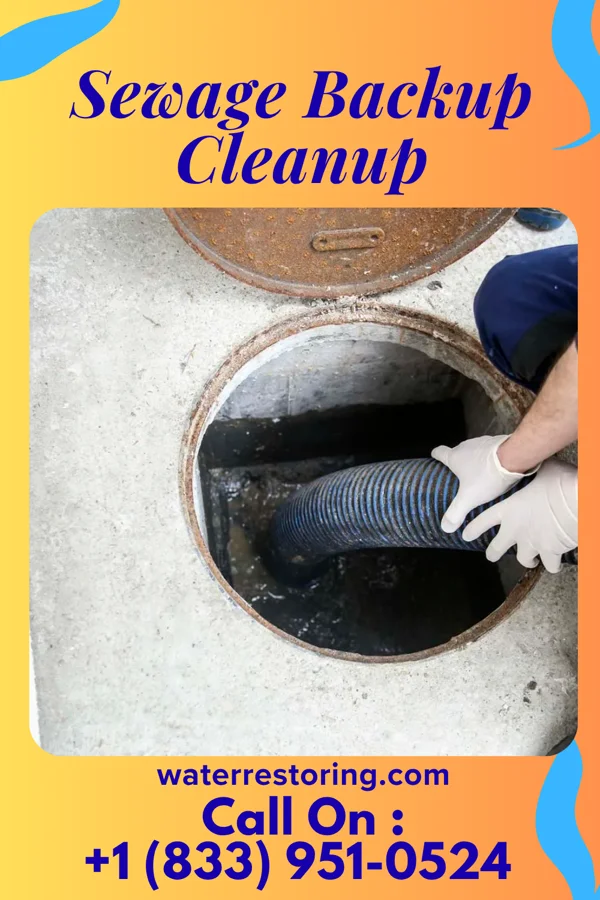 Sewage Backup Cleanup in Greenup, KY