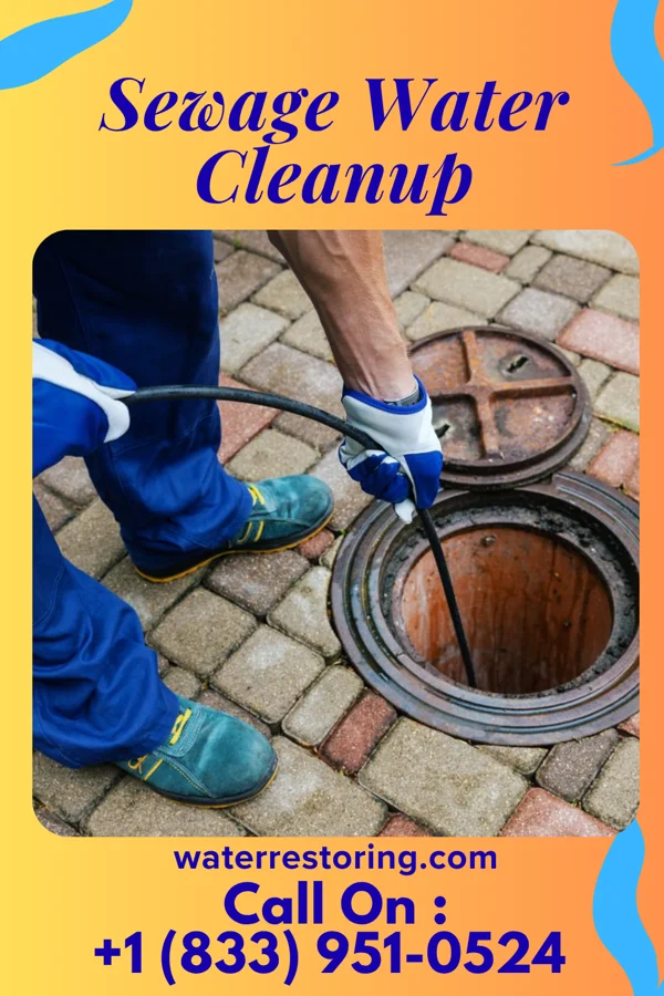 Sewage Water Cleanup in Greenup, KY